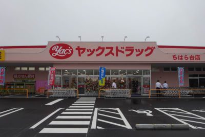 ヤックスデイサービスちはら台の求人画像