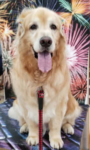 けあ工房夢いろの求人画像