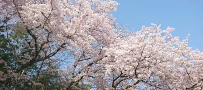 デイサービスセンターふれあいの丘の求人画像