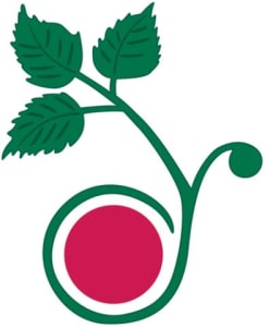 くわのみ園在宅介護支援センターの求人画像