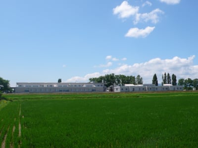 指定障害者支援施設 共生園の求人画像