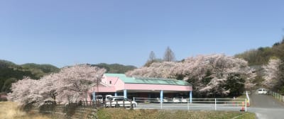 介護老人保健施設さくらの里の求人画像