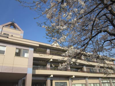 介護老人保健施設　秋桜の家の求人画像