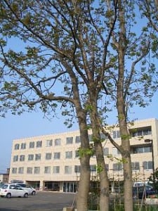 医療法人社団恵愛会茨戸病院の求人画像