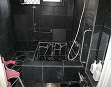 パイナップル畑での求人画像