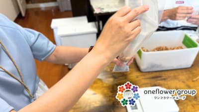 就労継続支援B型ワンフラワー佐賀の求人画像