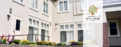 オリーブの木の求人画像