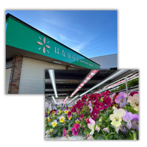 はなひらく塩尻の求人画像