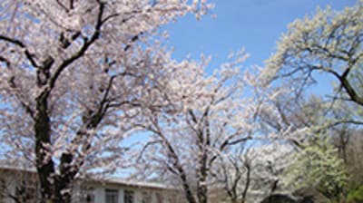 高幡台老人ホームの求人画像