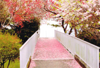 筑圃苑デイサービスセンターの求人画像