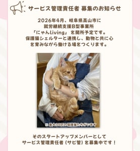 にゃんlivingの求人画像