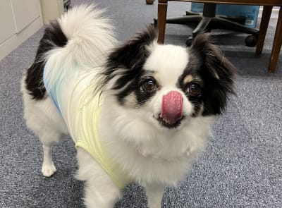 介護付有料老人ホーム　アプルール鵠沼の求人画像