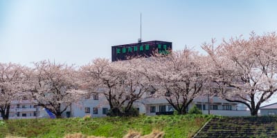 安田内科病院の求人画像