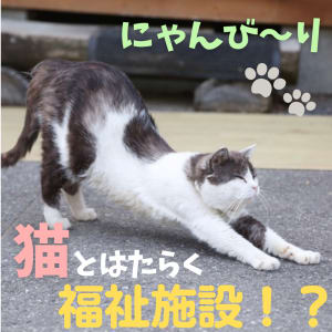 グループホーム上埴生の郷の求人画像