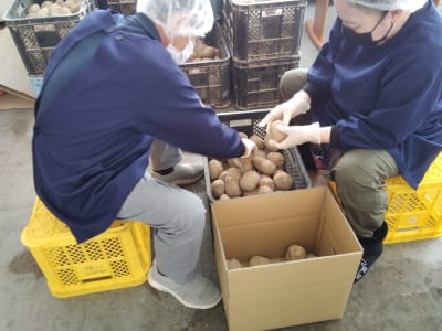 カナエルの求人画像