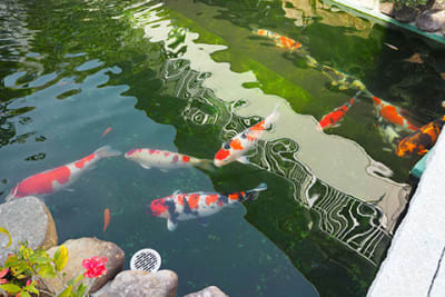 介護付有料老人ホーム　いなば荘の求人画像