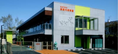 真駒内保育園の求人画像