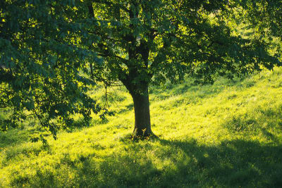 ワークセンターの求人画像