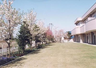 介護老人福祉施設　桜楓苑の求人画像