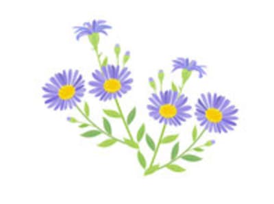 自立訓練事業所 潤の求人画像