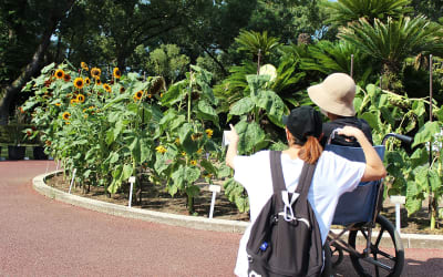 訪問介護まごのて東寺の求人画像