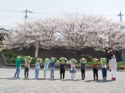 夢のつぼみ保育園の求人画像