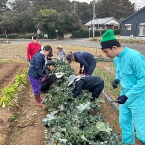 SMAPRE PLUSの求人画像