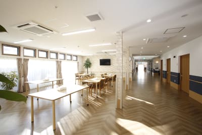 てのひらの求人画像