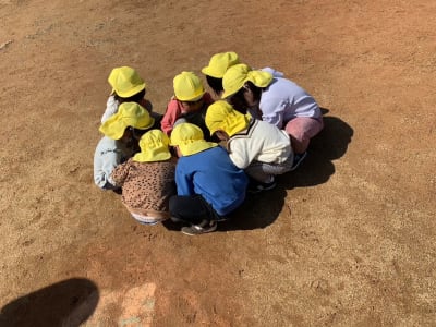 あじや保育園Rei～レイ～の求人画像