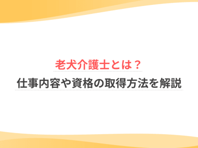 老犬介護士とは？仕事内容や資格の取得方法を解説