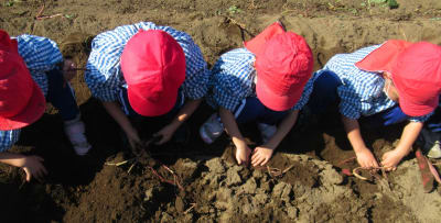 認定こども園大平みなみ幼稚園の求人画像