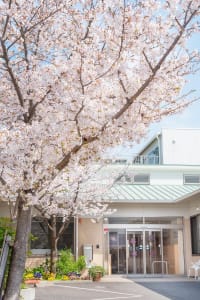 住宅型有料老人ホーム光の華の求人画像