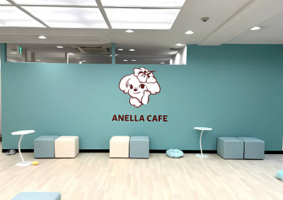 保護犬保護猫ふれあい＆カフェ　ANELLA　CAFÉイオン浜松西店の求人画像