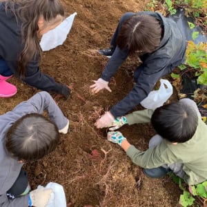 沼津センターの求人画像