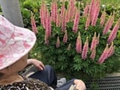 上川町特別養護老人ホーム大雪荘の求人画像