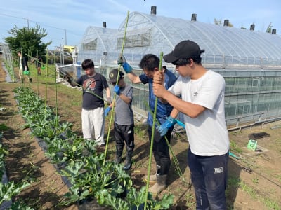 セリオファームの求人画像