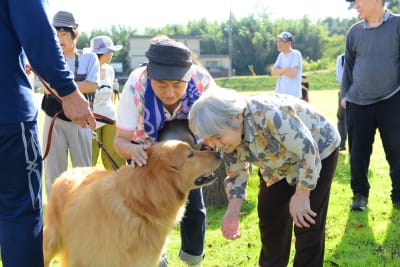 特別養護老人ホーム船尾苑の求人画像