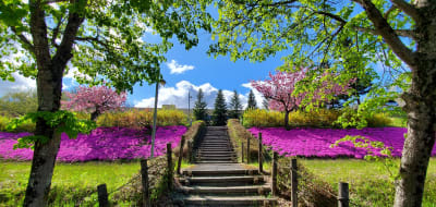 介護老人保健施設　おうしゅくの求人画像