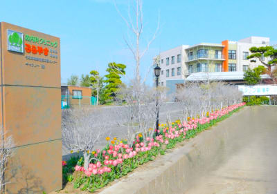 デイサービスセンター　ときわの求人画像