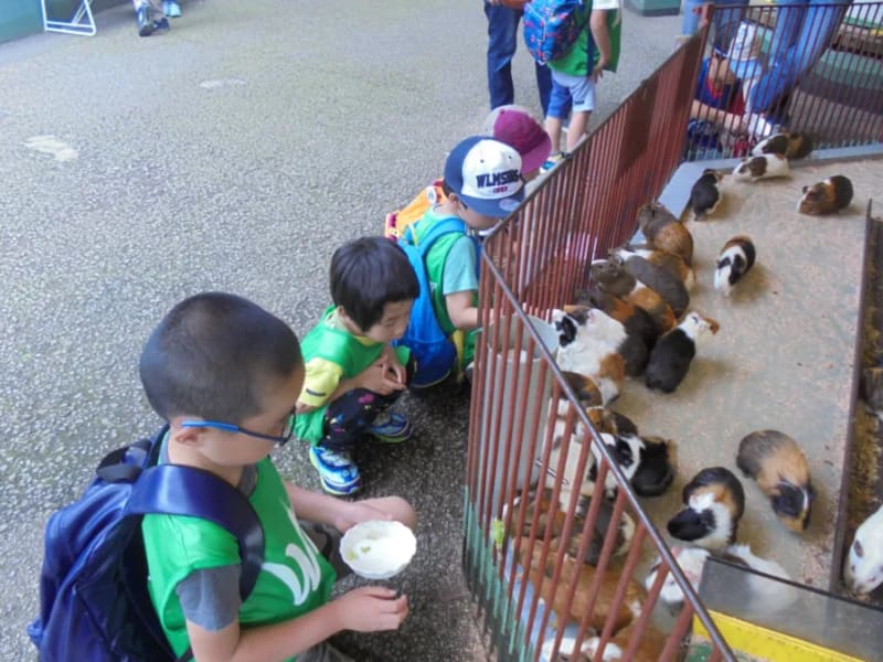 スカイウイング野芥