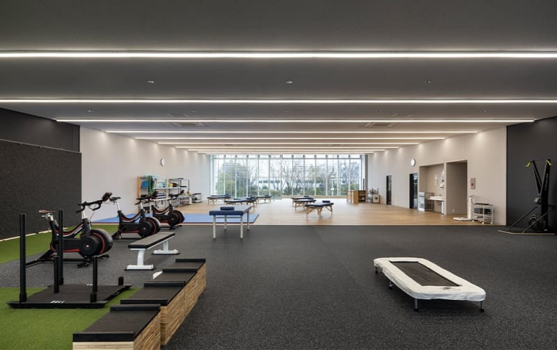 ワイルドナイツクリニック