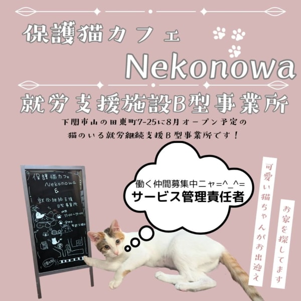 直接応募OK】保護猫カフェ Nekonowa（ねこのわ）のサービス