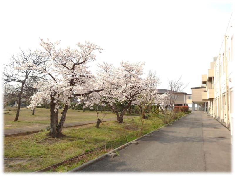 潟東けやき病院