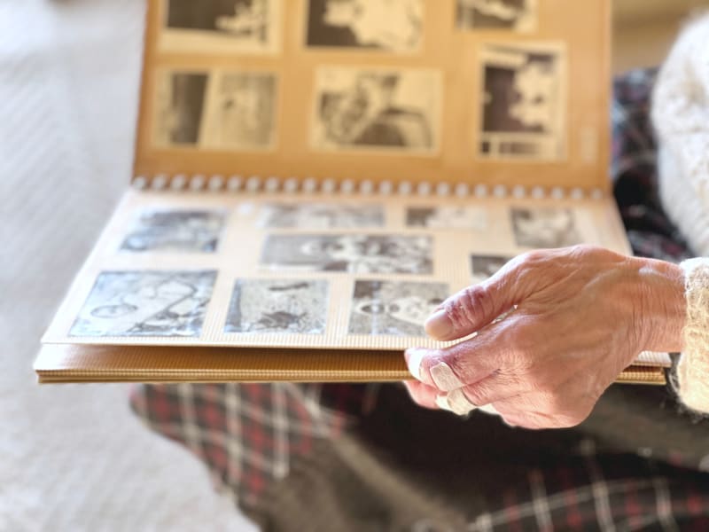 白黒写真のアルバムを見る高齢女性の手