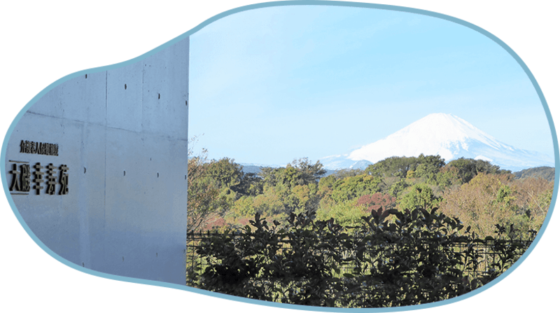 介護老人保健施設　大磯幸寿苑