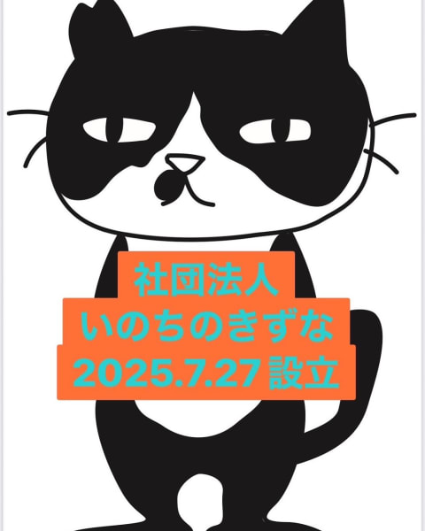 にゃんず・ふぁくとりー
