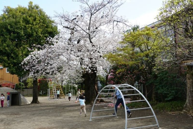 下落合みどり幼稚園