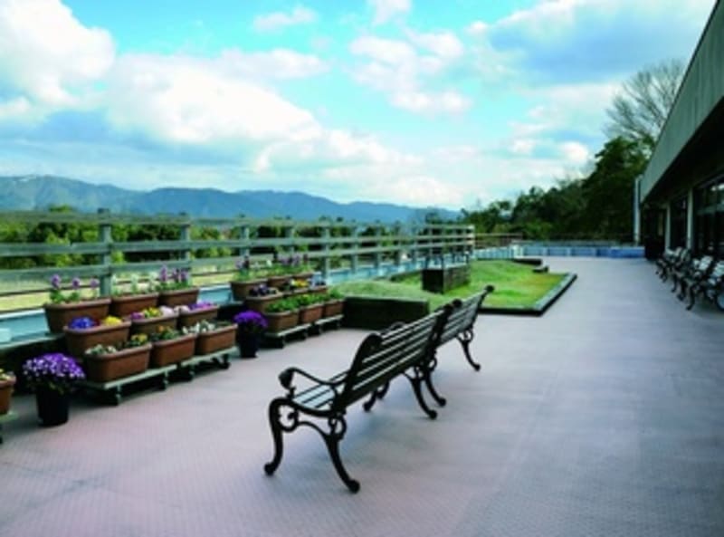 医療法人新生十全会　京都東山老年サナトリウム介護医療院