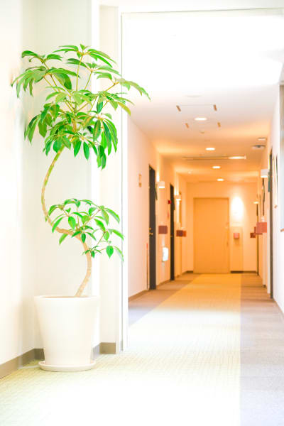 ホーカベレディースクリニック