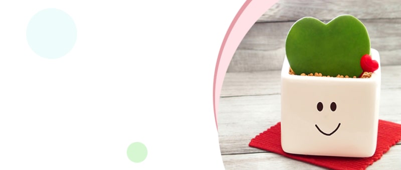 多機能型児童発達支援事業所 ディアーズ1'st